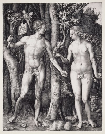 Adam en Eva door Albrecht Dürer