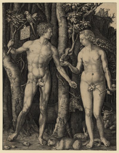 Adam en Eva door Albrecht Dürer