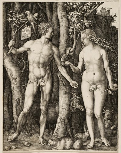 Adam en Eva door Albrecht Dürer