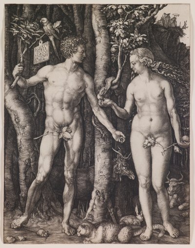  door Albrecht Dürer