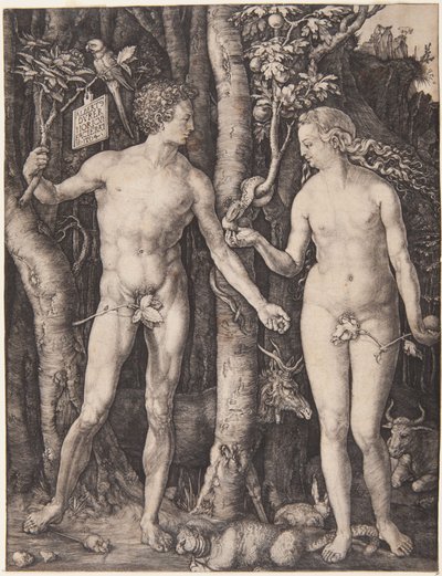 door Albrecht Dürer