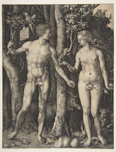  door Albrecht Dürer