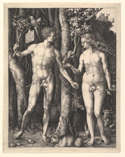  door Albrecht Dürer