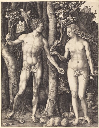  door Albrecht Dürer