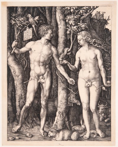 door Albrecht Dürer