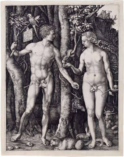  door Albrecht Dürer
