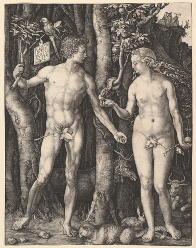  door Albrecht Dürer