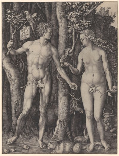  door Albrecht Dürer
