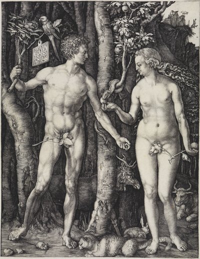  door Albrecht Dürer