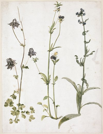  door Albrecht Dürer