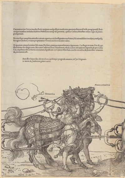  door Albrecht Dürer