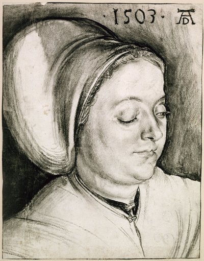  door Albrecht Dürer