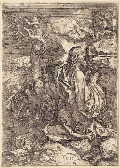  door Albrecht Dürer