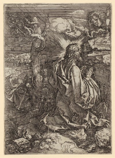  door Albrecht Dürer