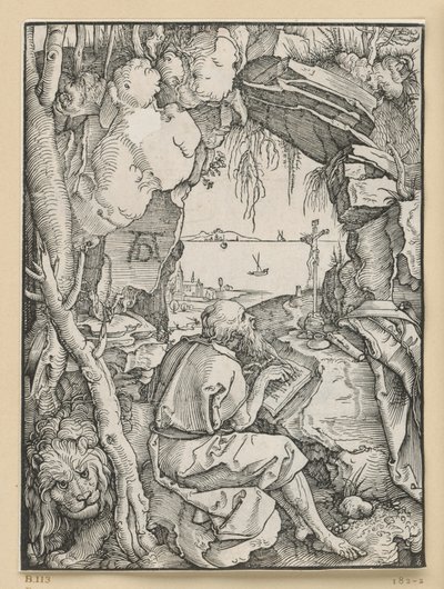  door Albrecht Dürer