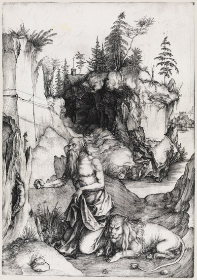  door Albrecht Dürer