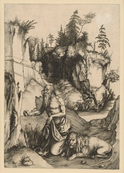  door Albrecht Dürer