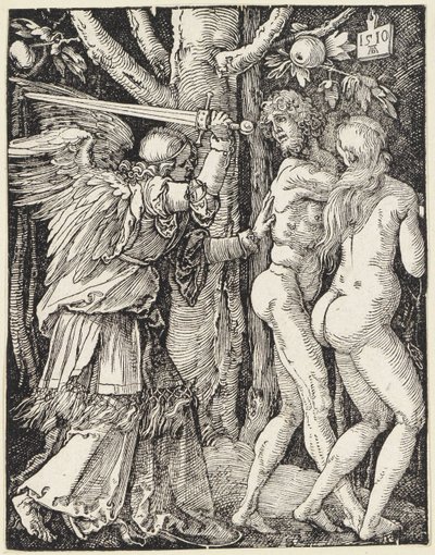  door Albrecht Dürer