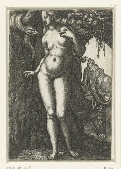 Eva door Albrecht Dürer