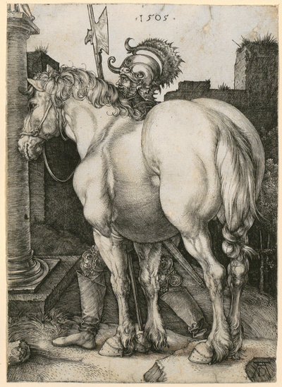 Het grote paard door Albrecht Dürer