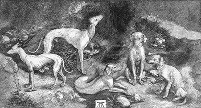 Groep Honden. Uit de gravure van St. Eustace, door A. Durer, ca. 1500 door Albrecht Dürer