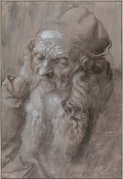 Hoofd van een oude man, 1521 door Albrecht Dürer