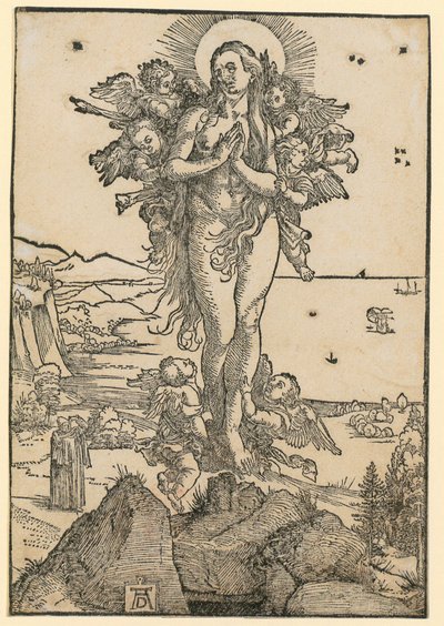  door Albrecht Dürer