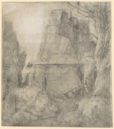 De heilige Hiëronymus naast de wilg door Albrecht Dürer