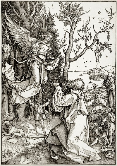 Het leven van de Maagd: Joachim en de engel (Bartsch 78) door Albrecht Dürer