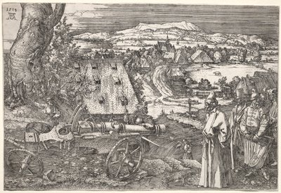 Landschap met het Kanon door Albrecht Dürer