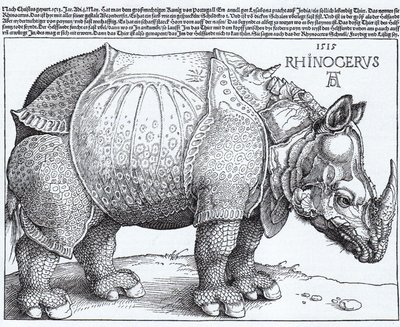 Latijn:  Rhinocerus De neushoorn door Albrecht Dürer
