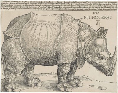Latijn:  Rhinocerus De neushoorn door Albrecht Dürer