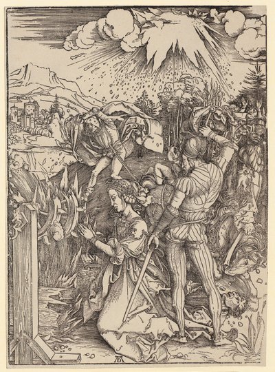  door Albrecht Dürer