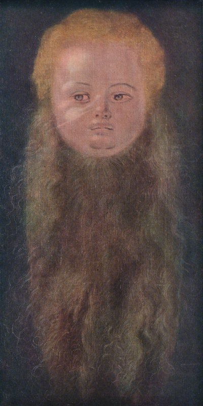 Portret van een Jongen met een Lange Baard door Albrecht Dürer