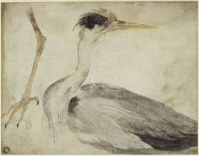  door Albrecht Dürer