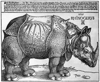 Neushoorn, prent gegeven aan Maximiliaan I door de Koning van Lissabon, 1515, 1936 door Albrecht Dürer