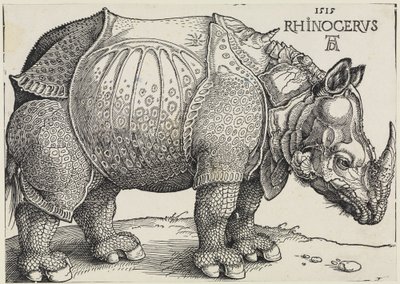 Rhinocerus (De neushoorn) door Albrecht Dürer