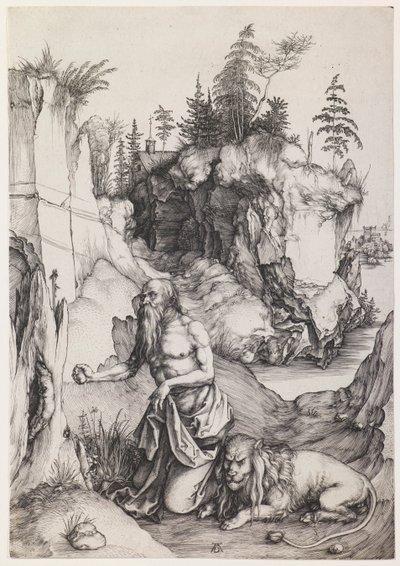  door Albrecht Dürer