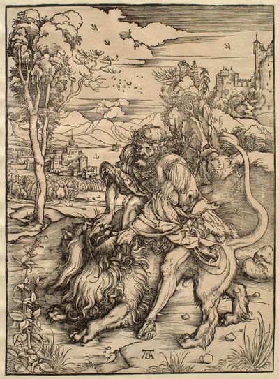  door Albrecht Dürer