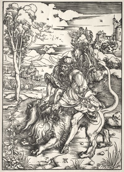  door Albrecht Dürer