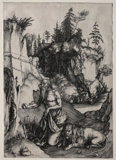 Sint Hiëronymus in Boetedoening door Albrecht Dürer