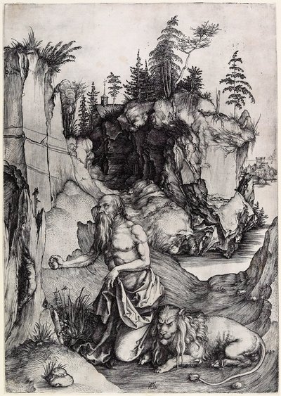  door Albrecht Dürer