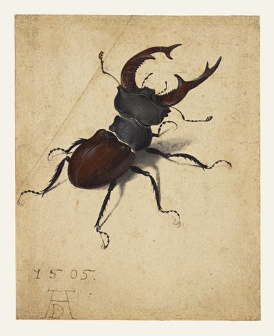  door Albrecht Dürer