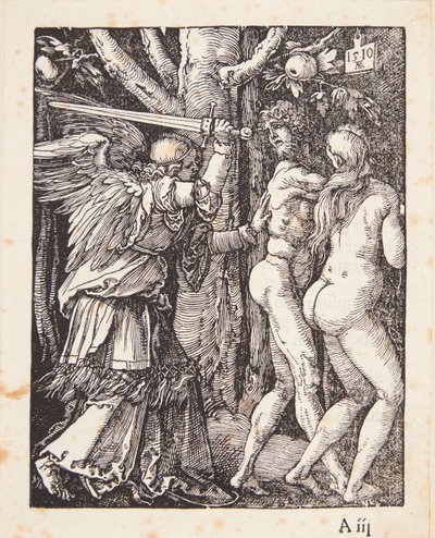  door Albrecht Dürer
