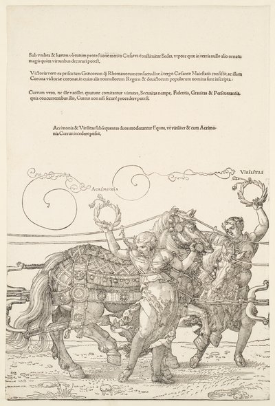  door Albrecht Dürer