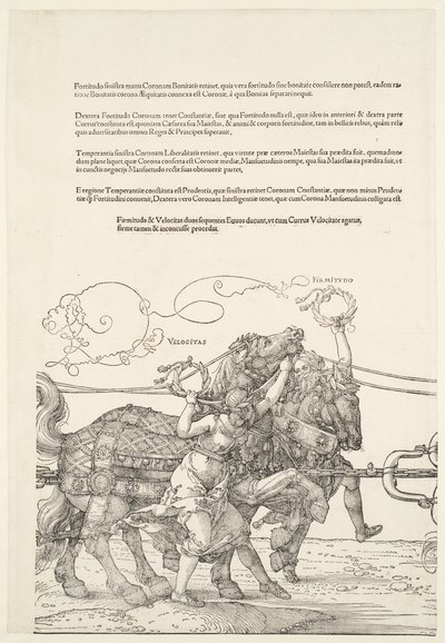  door Albrecht Dürer