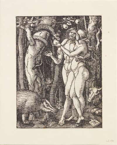  door Albrecht Dürer