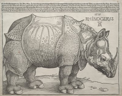 De Neushoorn door Albrecht Dürer