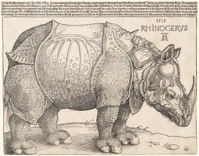  door Albrecht Dürer