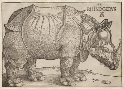  door Albrecht Dürer